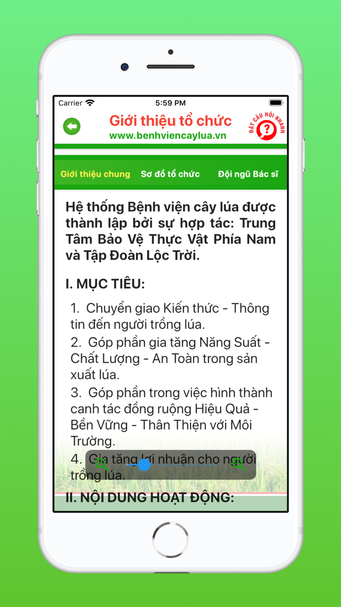 Bệnh viện cây lúa