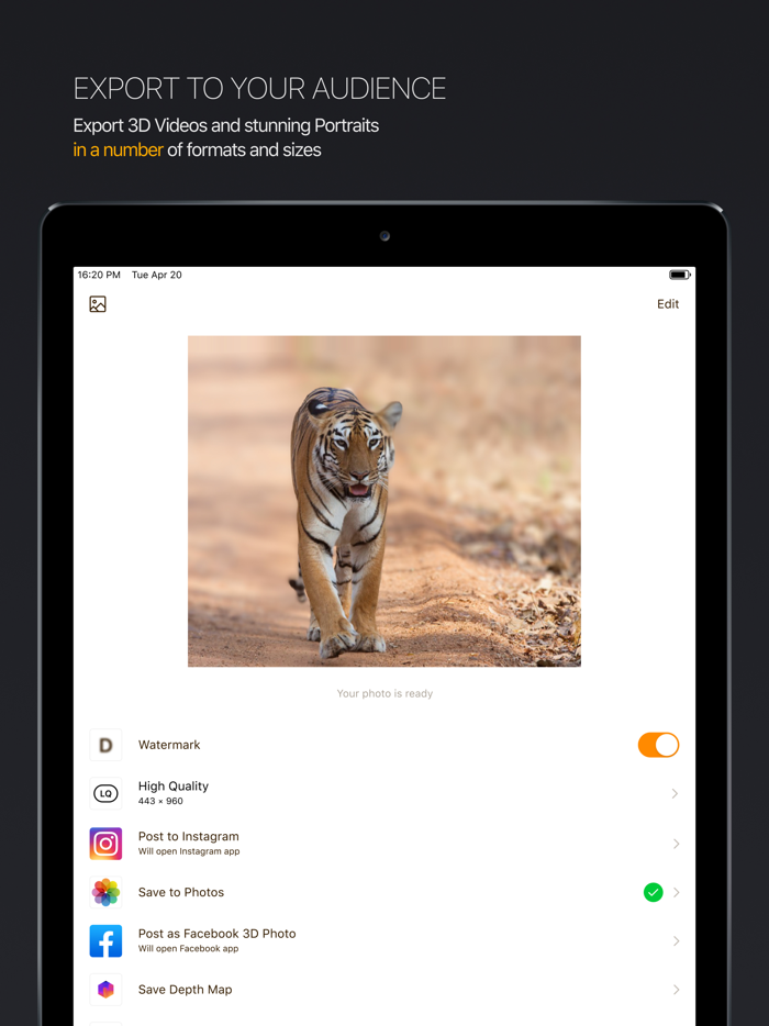 DPTH PRO AI 3d-photo editor