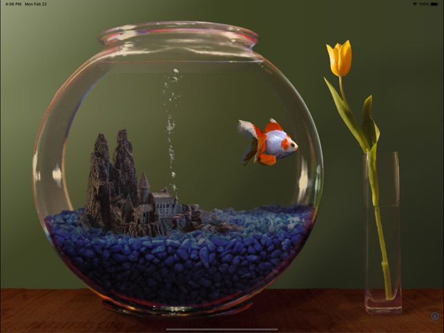 Goldfish Aquarium on the App Store