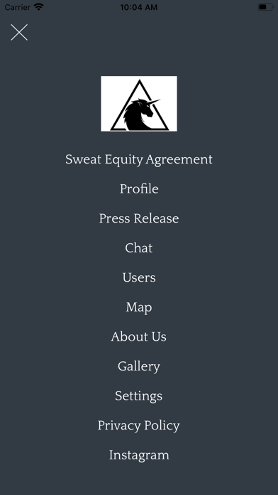 Wealth Gap App Screenshot