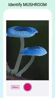 mushroomlens - fungi finder problems & solutions and troubleshooting guide - 1