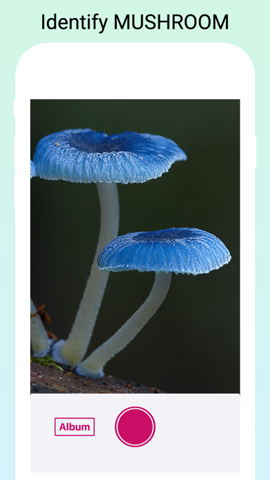 Mushroom Identifier by photo Screenshot