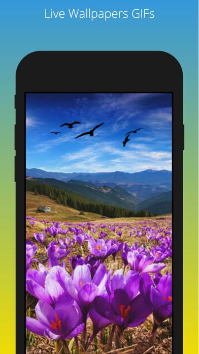 HD-live Wallpapers - Quotes Screenshot