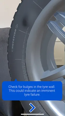 Game screenshot Tyresafe Checker hack