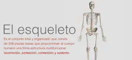Game screenshot Grupo Clasa - Clasa Mas mod apk
