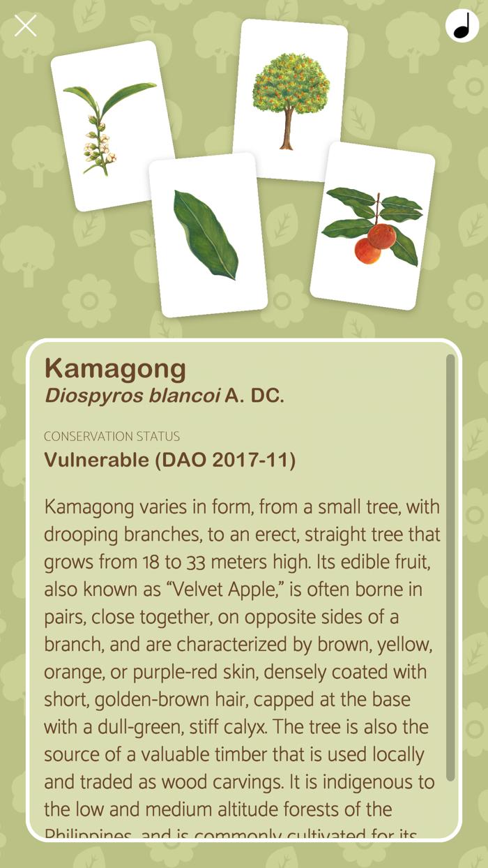 ForesTree Philippine Tree Game