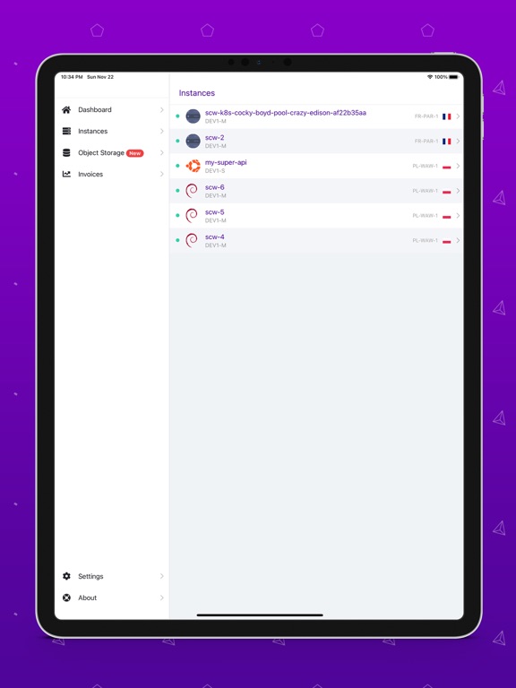 Screenshot #6 pour Scaleway Manager