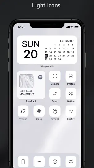 Captura de pantalla de Icono De Aplicación Estética en iPhone 4