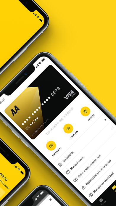 AA Credit Card Screenshot