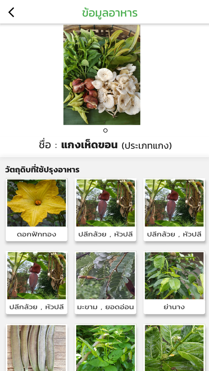 อาหารสมุนไพร