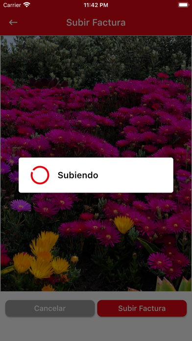 Insuperables Screenshot