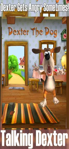 Game screenshot Talking Dexter The Dog apk