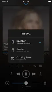 play:sub music streamer iphone screenshot 2