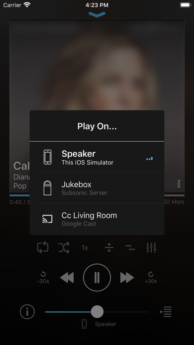 play:Sub Music Streamer Screenshot