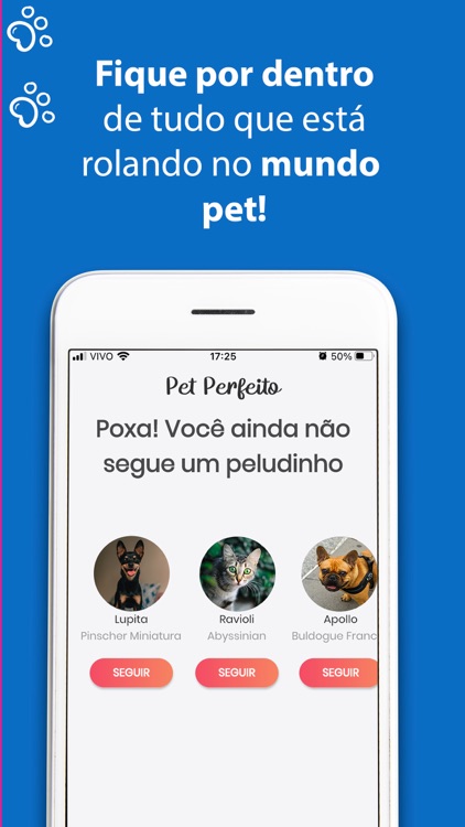 Pet Perfeito