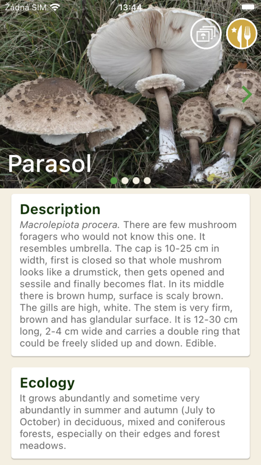 #5. Mushrooms app (iOS) 由: Vocom software