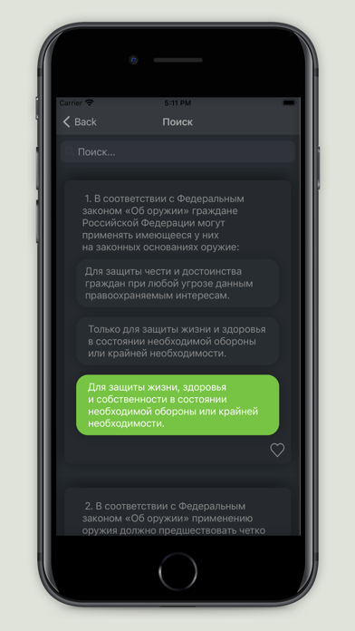 Экзамен на оружие - 2020 год Screenshot