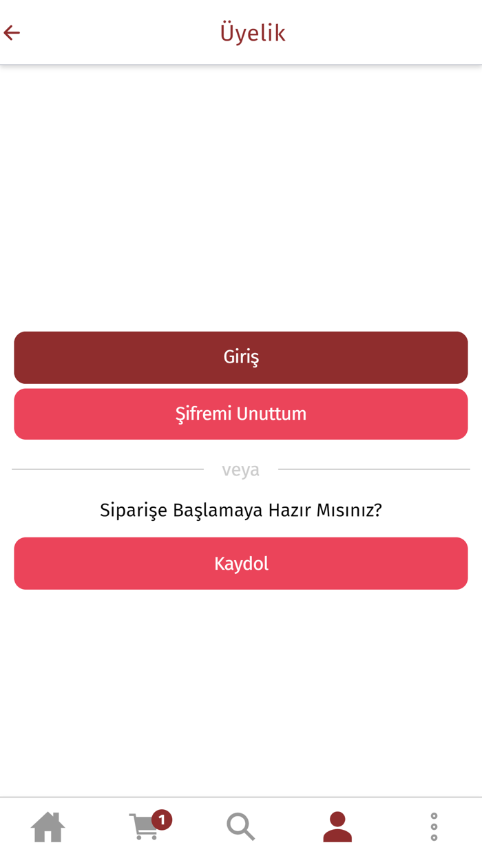 The Doctor Steak And Burger