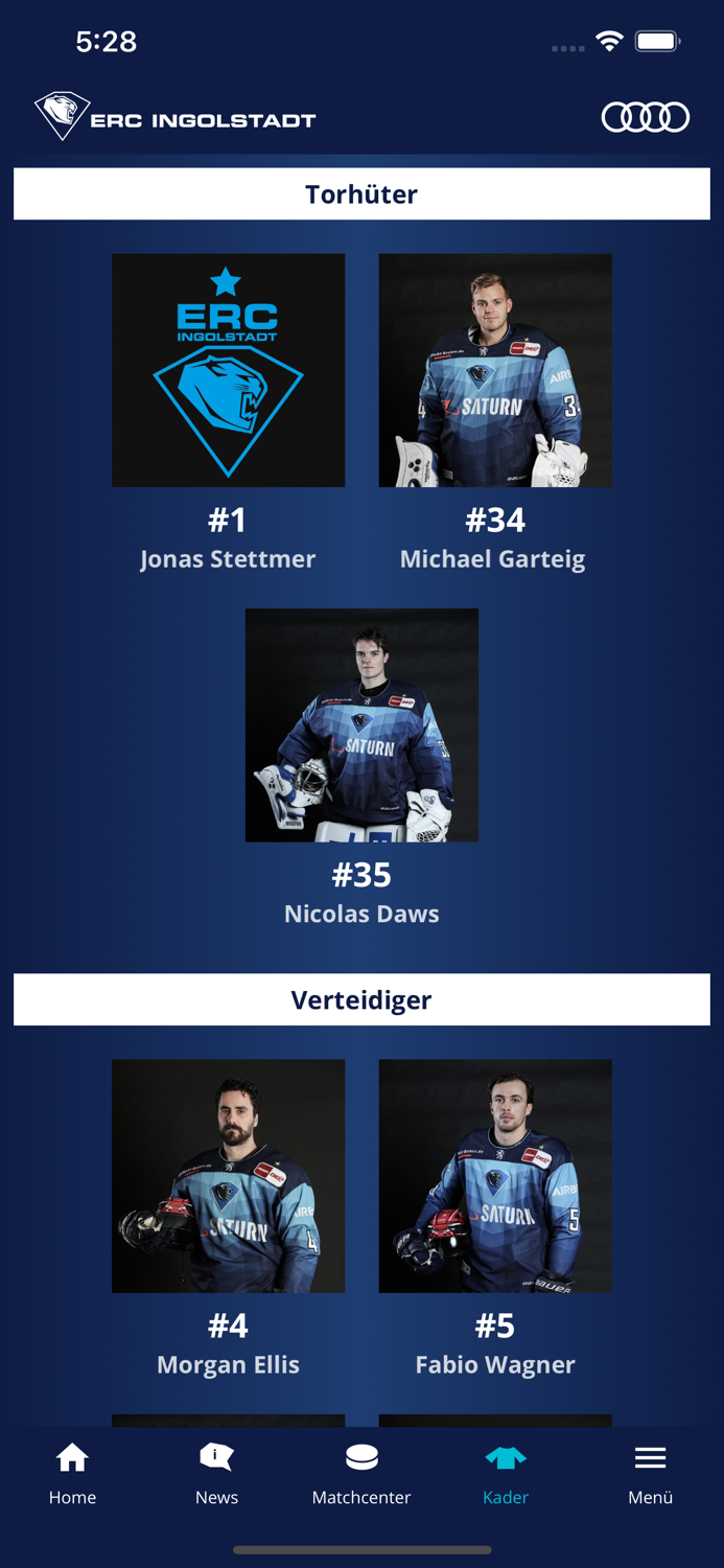 ERC Ingolstadt - Die Panther