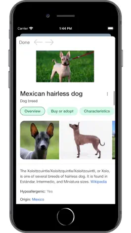 Game screenshot Dog Breed AI apk