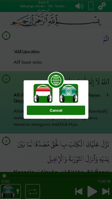 Quran Audio Pro in Indonesianのおすすめ画像4