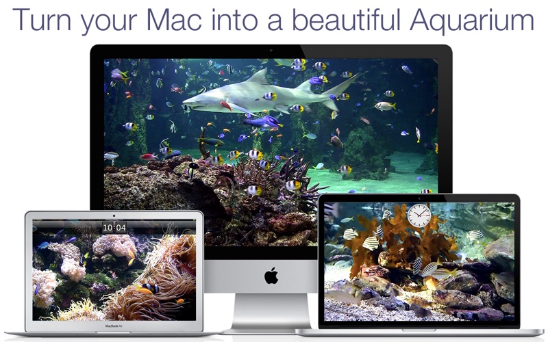 aquarium live hd+ screensaver problems & solutions and troubleshooting guide - 1