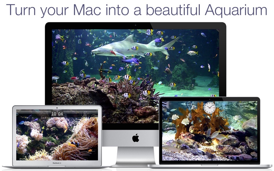 Aquarium Live HD+ Screensaver - 3.3.0 - (macOS)