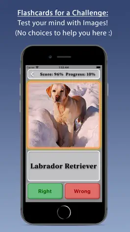 Game screenshot Dogs: Lite hack