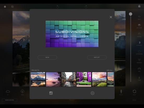 Screenshot #4 pour Subdivisions AI Filter