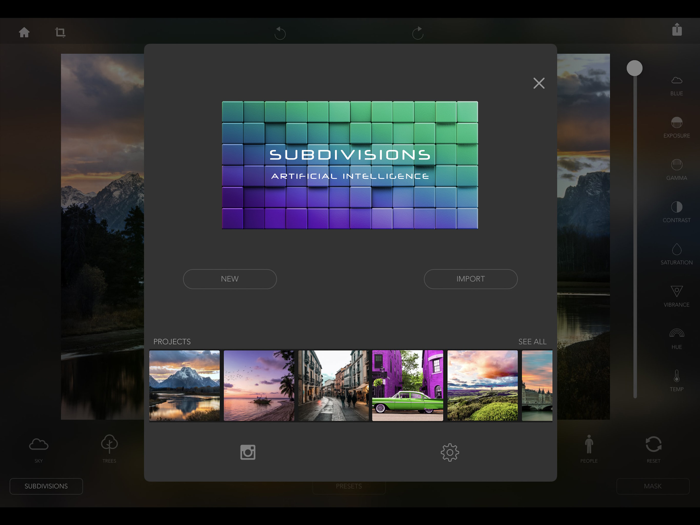 Subdivisions AI Filter