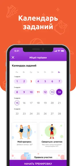 Game screenshot Формы в норме mod apk