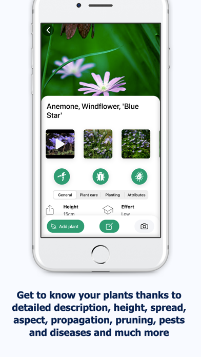 Right Plants Screenshot