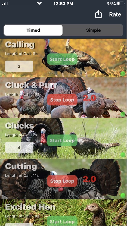 Wild Turkey Calls screenshot-3