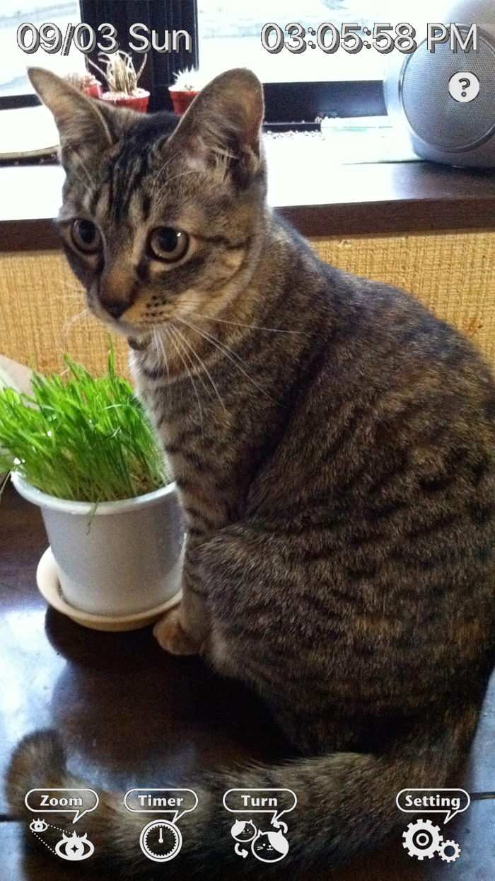 FRonT Mirror of easy operation