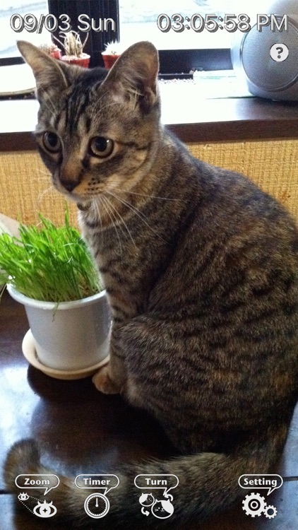 FRonT Mirror of easy operation