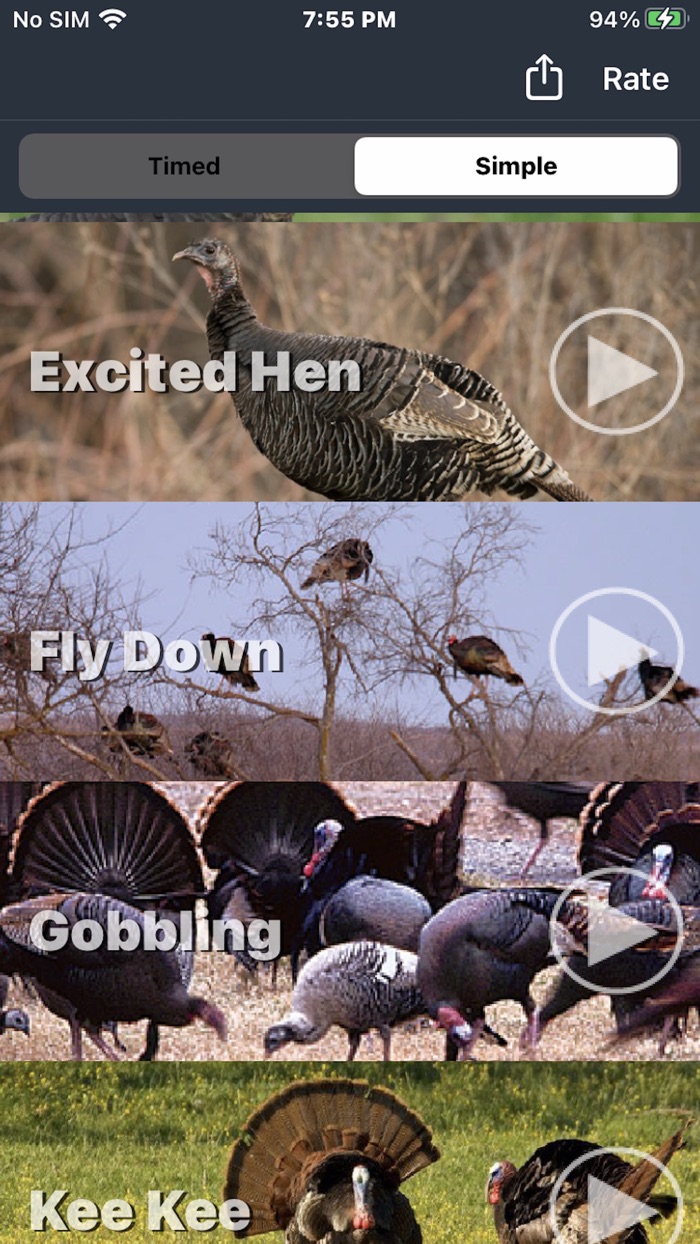 Turkey Calls for Hunting App