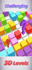 Blocks Puzzle 3D : Classic screenshot #3 for iPhone