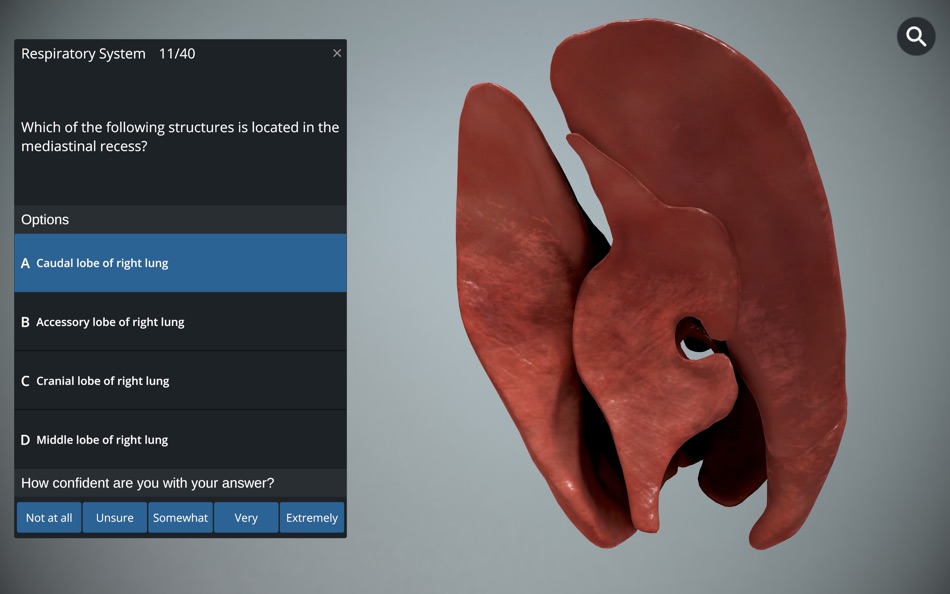 #7. EasyAnatomy: 3D Canine Anatomy (macOS) By: EasyAnatomy Interactive Inc.
