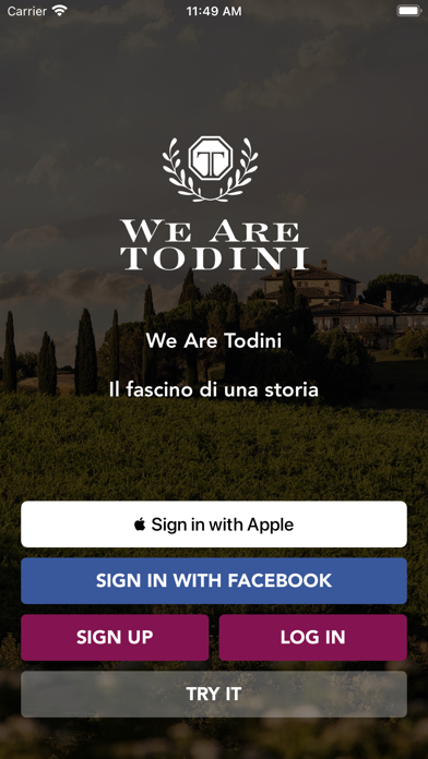We Are Todini Screenshot