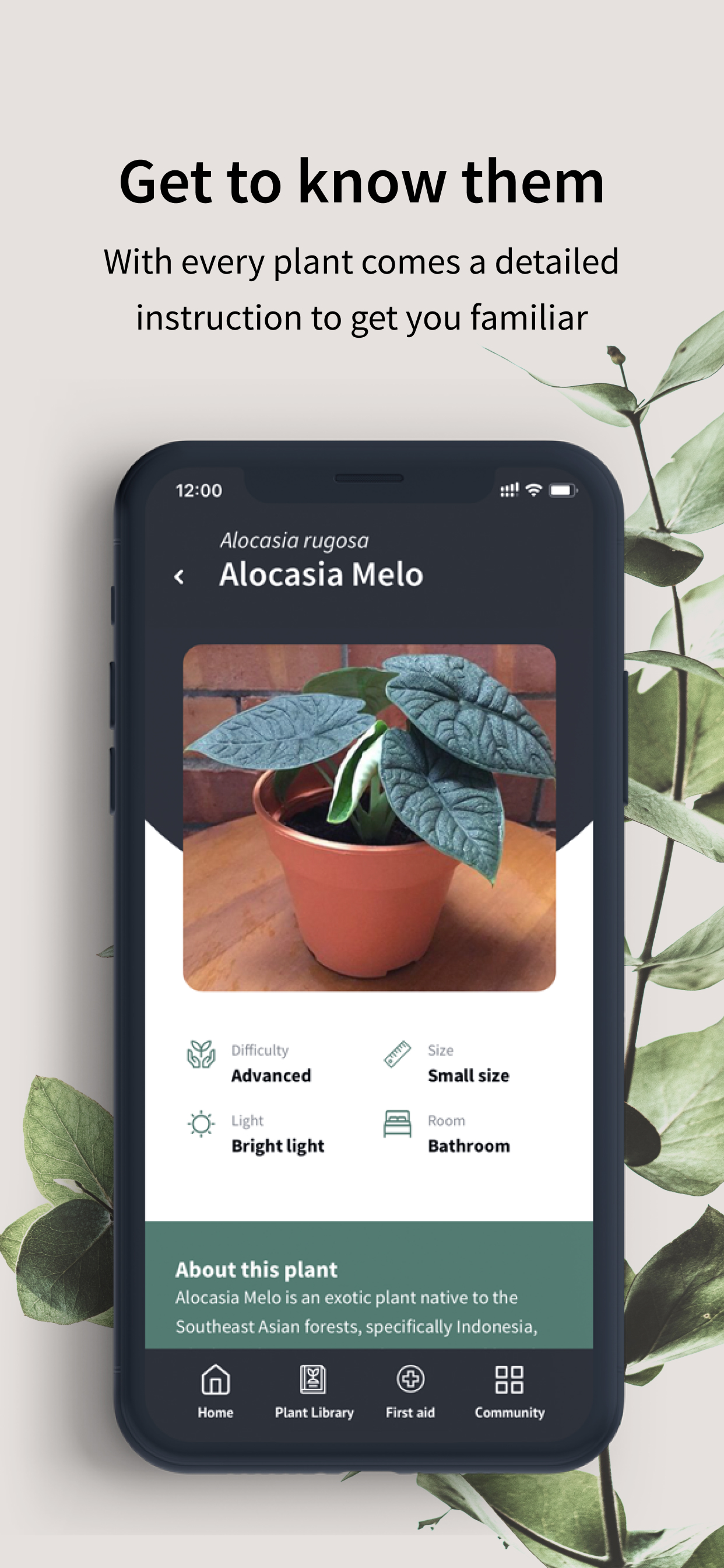 WePlant