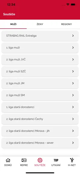 Game screenshot Česká házená hack