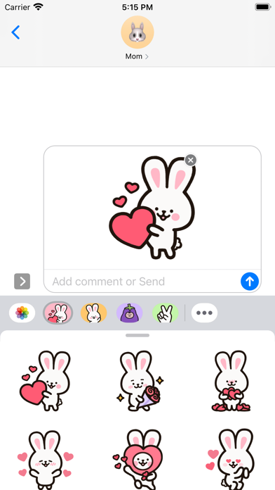 Sunny the Love Bunny Screenshot