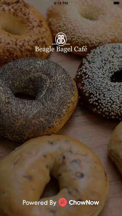 Beagle Bagel Cafe Screenshot
