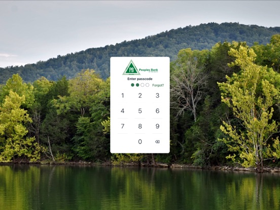 PB South Mobile iPad screenshot 2 - Finance app