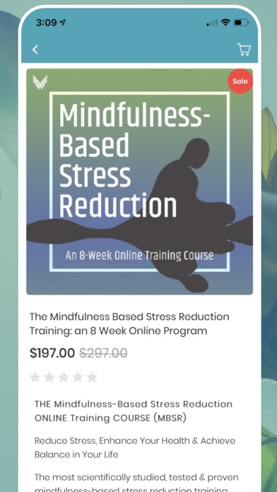 The Mind Body Spirit Network Screenshot