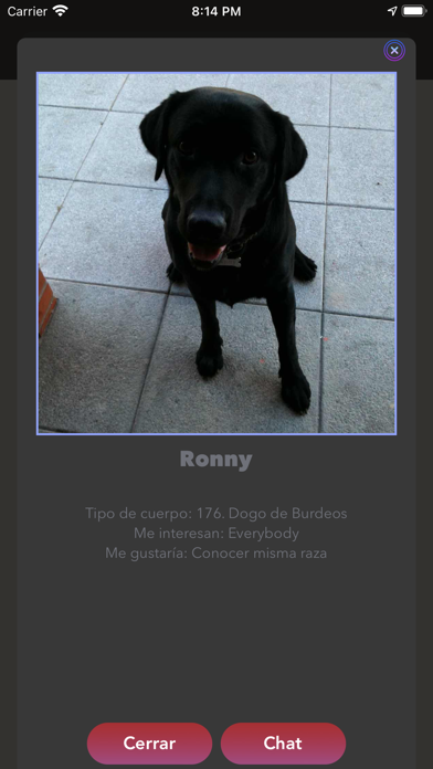 Dog Chat - Dogs Chats Screenshot