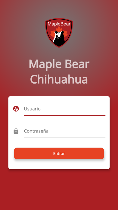 Maple Bear Chihuahua Screenshot