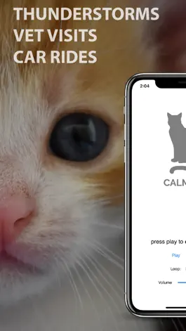 Game screenshot Calm Cat mod apk