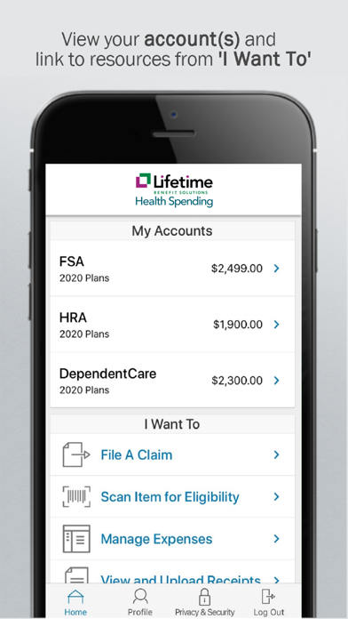 LBS Health Spending App Screenshot