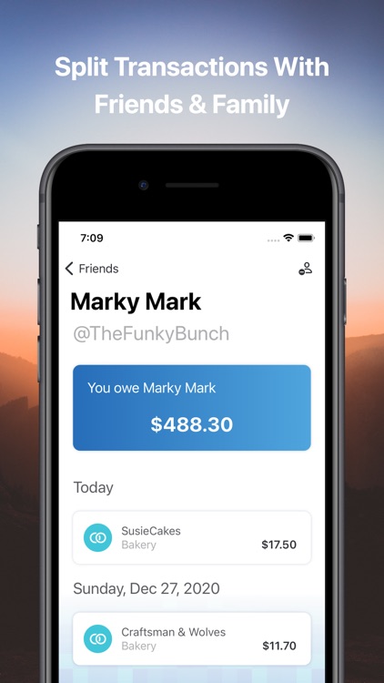 Surplus Finance screenshot-3